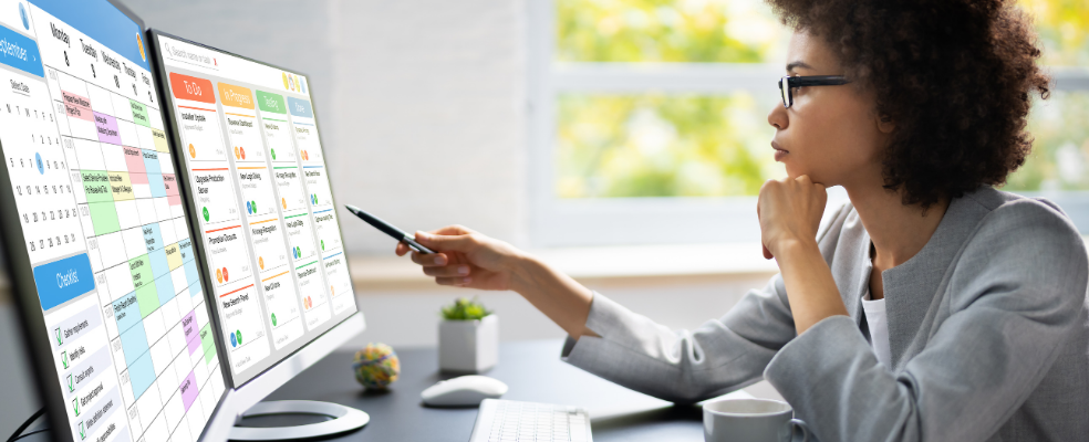 Professional reviewing project management software dashboard and workflow tasks